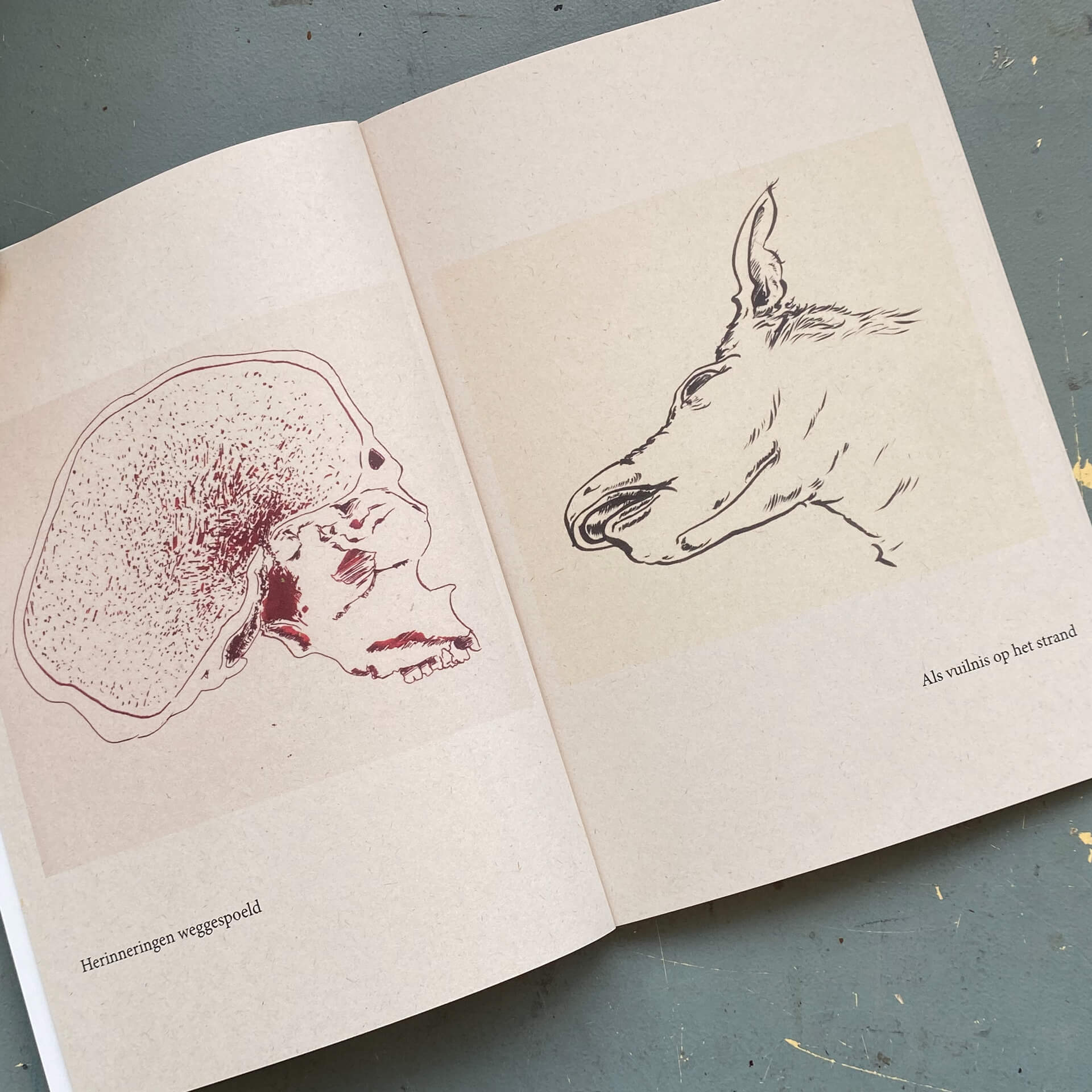 donorbrain zine slide 2